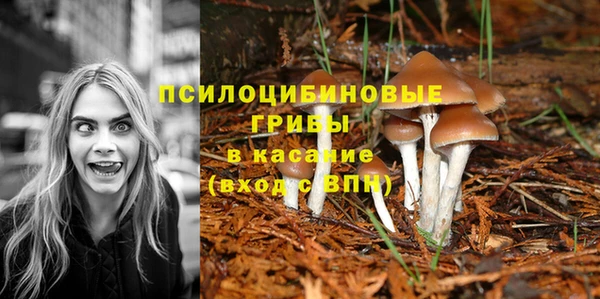 ешки Красноперекопск