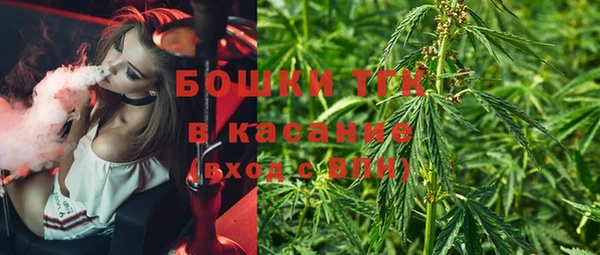 spice Краснослободск