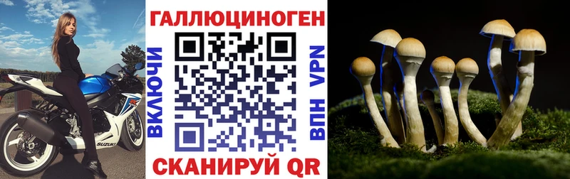 Купить закладки  Медногорск  Псилоцибиновые грибы мухоморы 
