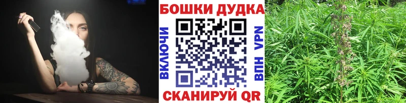 Канабис сатива  Купить где  Медногорск 